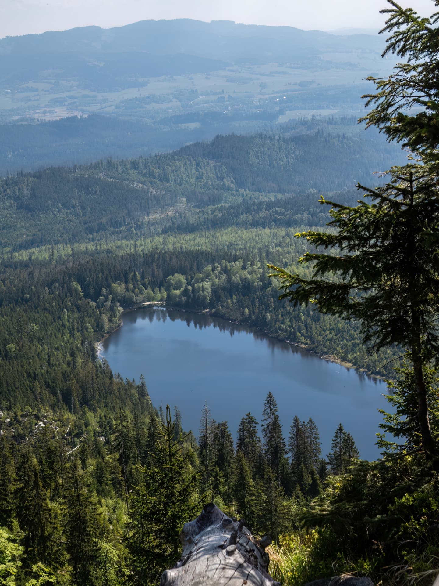 The blue Plesné lake ringed by coniferous forest, seen from above